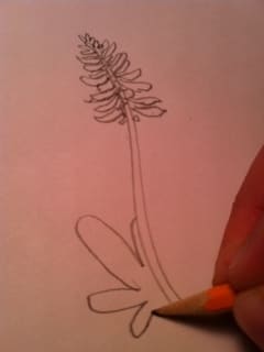 Step 4