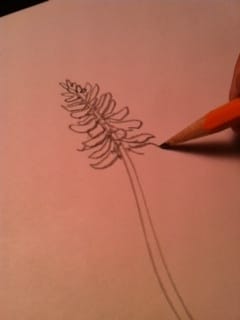 Step 3
