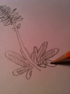 Step 6
