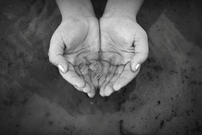 "Salvation." I captured this image during my daughter's selfless act of saving a stranded fish from a shrinking tidal pool. Happenstance becomes symbolism.