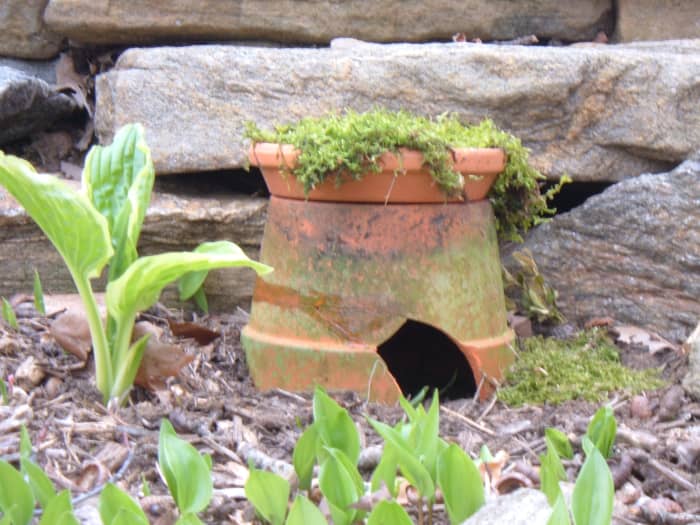 tA toad house made from an old pot.