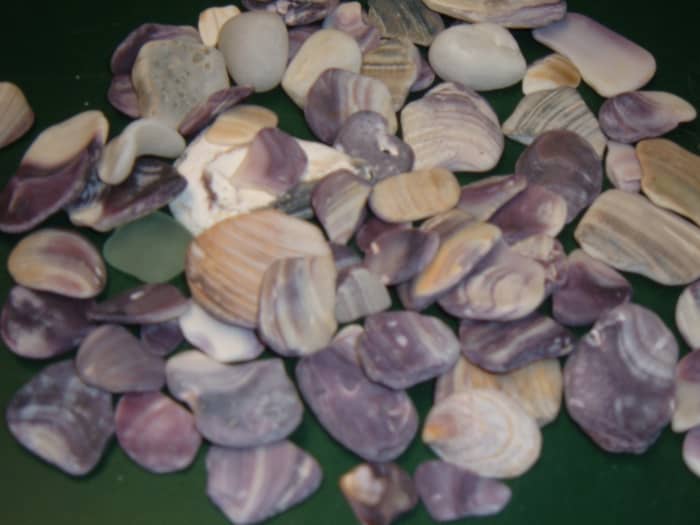 Our collection of wampum.