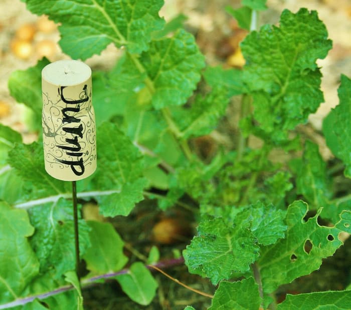 Insert a chopstick or a piece of wire coat hanger into the cork to make a plant marker.