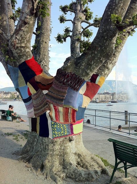 Yarn bomb tree.