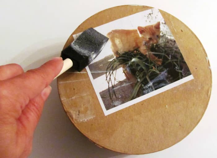 Secure each photo using Mod Podge, ensuring that there are no loose edges or wrinkles.