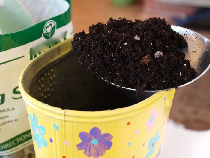 Fill the boot with good potting soil. Leave about 4 - 5 inches on the top without dirt so you can add your plants.