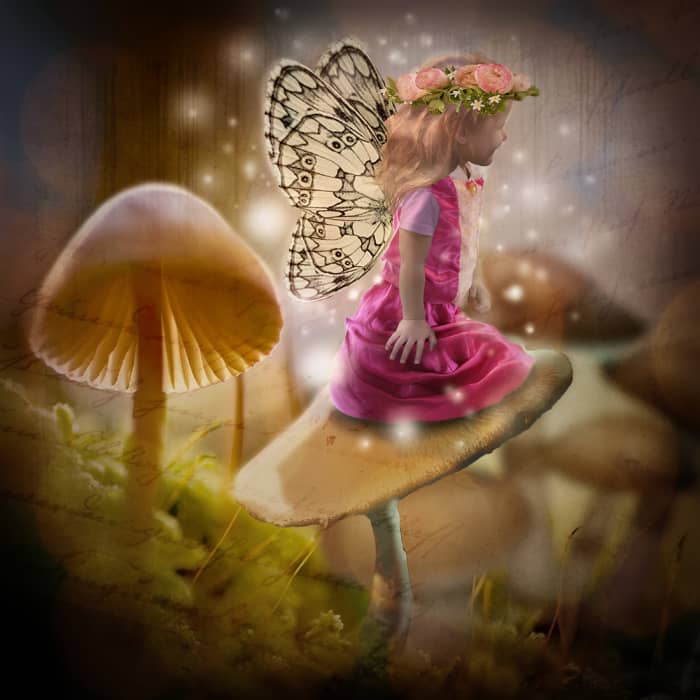 My Photographic Fairy Art: A Magical World Revealed - FeltMagnet