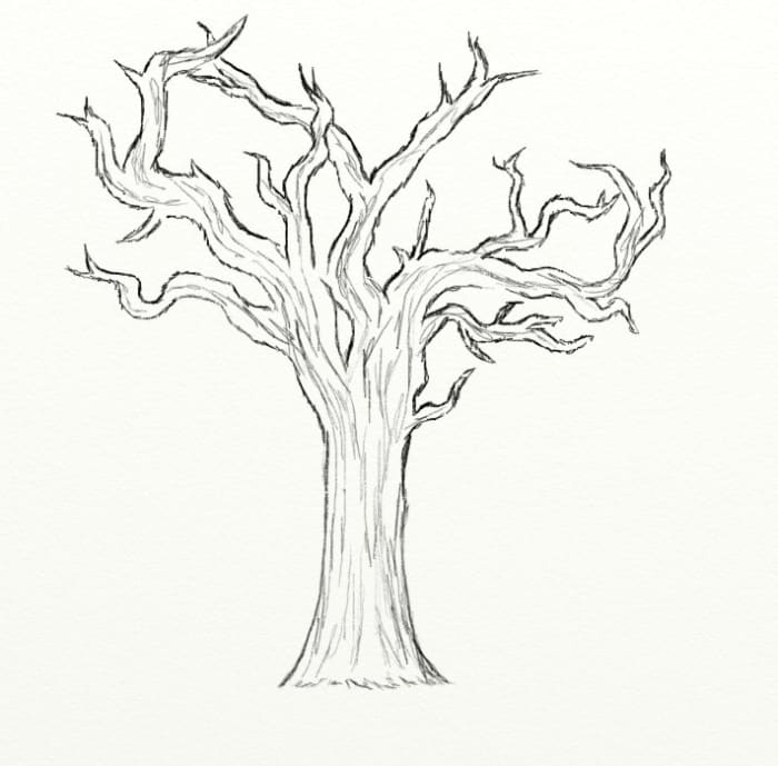 How to Draw a Dead Tree