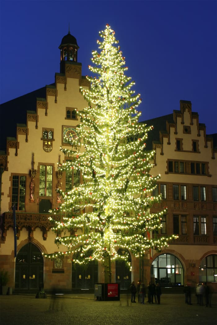 A Christmas tree in Frankfurt at the Christkindlmarkt