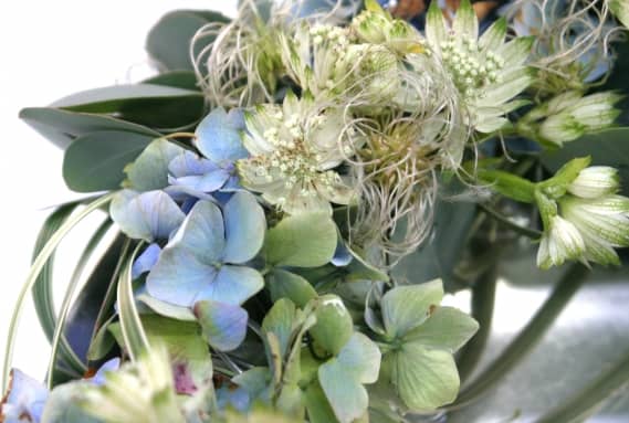Blue Hydrangea and White Astrantia Brides Bouquet: Soft as the first day of summer, this is mainly made of two contrasting flower choices with graceful Bear's grass. Perfect for semi-formal or outdoor weddings.
