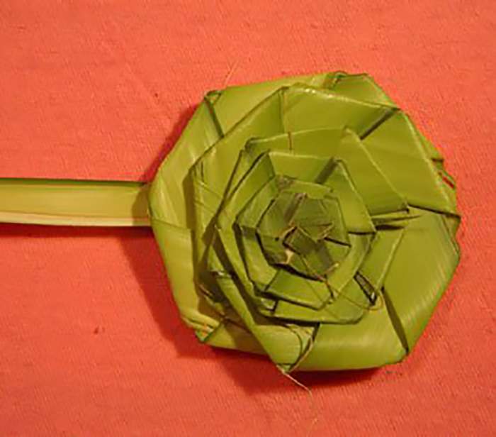 How to Make a Palm Rose for Palm Sunday Holidappy