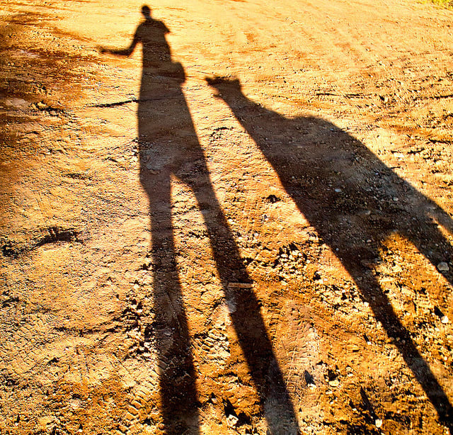 This photo, with its sand color and cave-painting like quality, evokes the ancient wisdom of shadows and reversals.