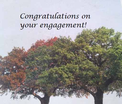What to Write in an Engagement Greeting Card - Holidappy