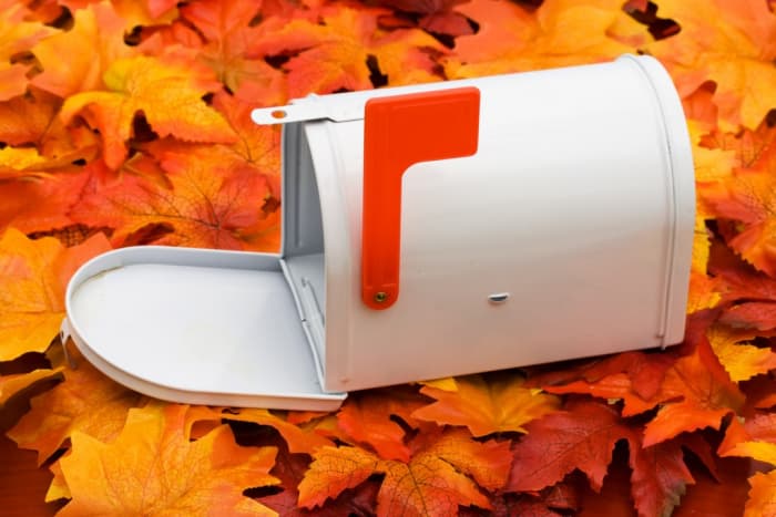 Thanksgiving cards are a welcome change from all the bills and ads most of us are used to finding in our mailboxes.