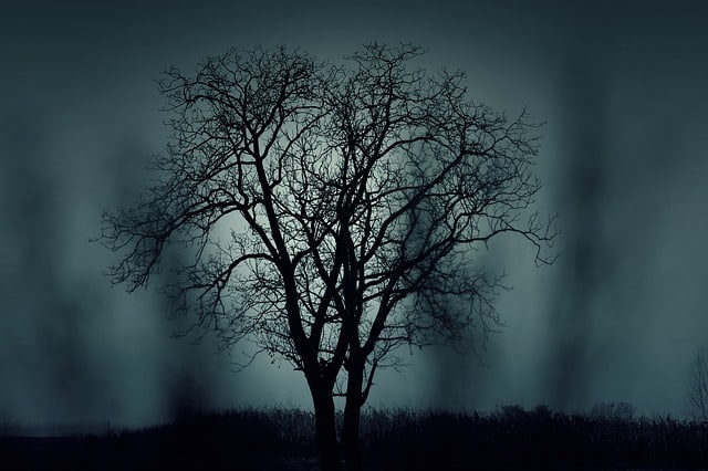 Make your own kind of haunted house for your next Halloween get-together, but with a slight twist: turn your haunted house full of ghosts into a zombie house full of undead tormentors.