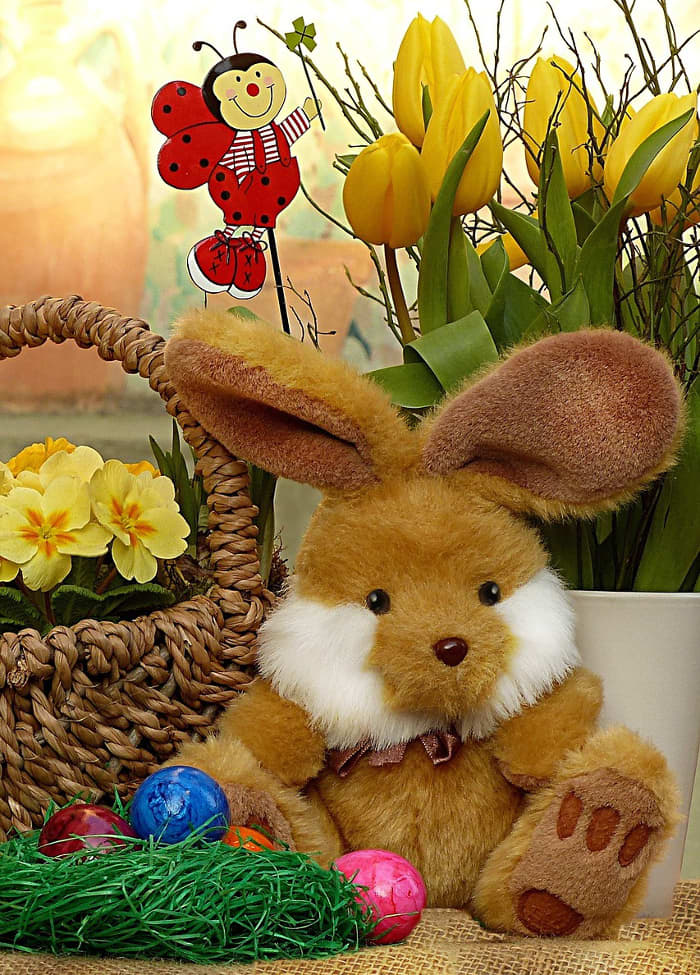 If you do not wish to give chocolate or candy this Easter, consider a soft toy rabbit as a gift instead.
