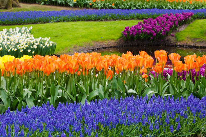 And if God cares so wonderfully for flowers . . . he will certainly care for you.