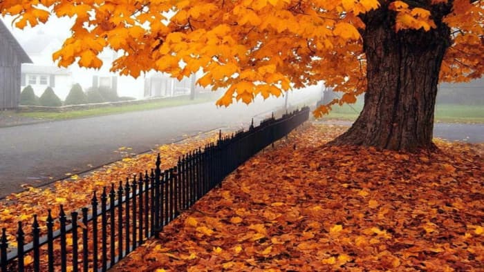 Celebrate Be Late for Something Day on September 5 by promising to show up somewhere at a certain time that you know you won't be able to honor.