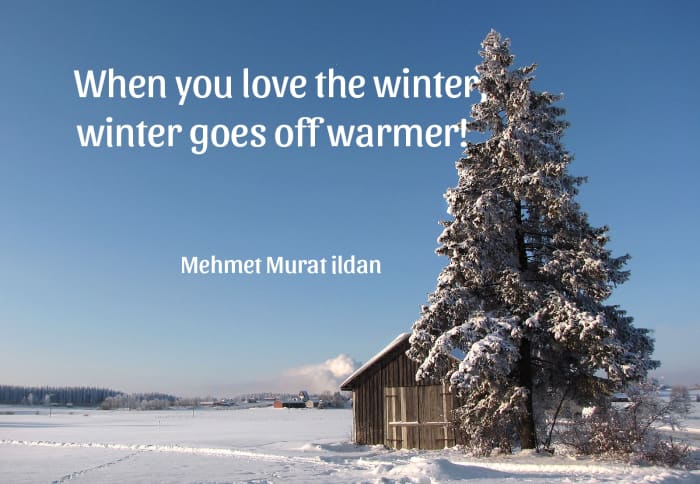 Nature's splendor is never more evident than on a bright and chilly winter's dawn.