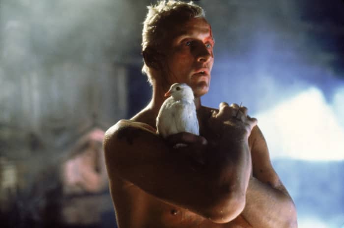 The film has the performance of a lifetime from Hauer as the replicant facing his own mortality, Roy Batty