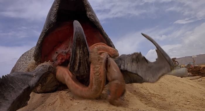The film isn't necessarily about the monsters as they're usually underground and out of sight. But they still make disgusting creatures nonetheless.
