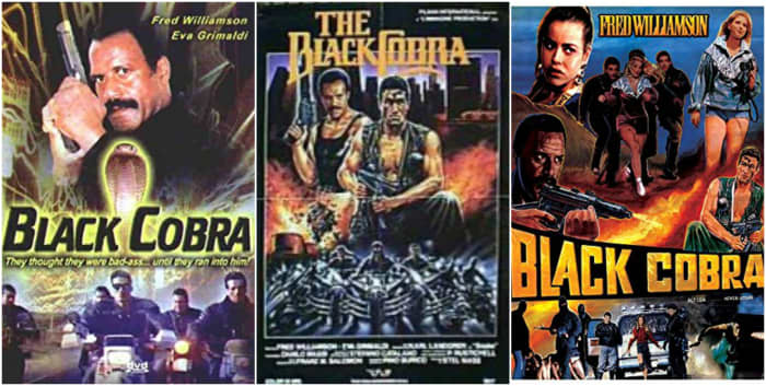 Due to its Public Domain status, "Black Cobra" has been released by dozens of DVD labels with different covers.