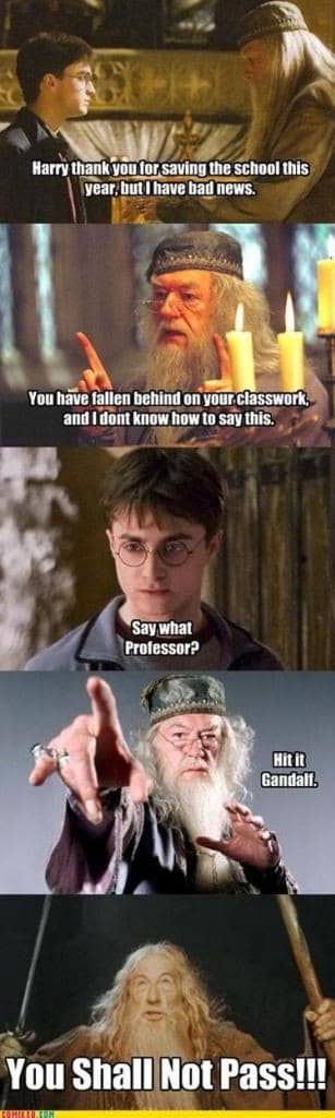 Harry Potter Meets Lolcatz - HubPages