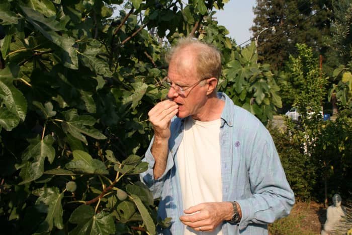 Begley Jr, seen here foraging in hiding after the film, portrays a typically hammy bad guy who doesn't stand a chance against Hogan's confused good guy.