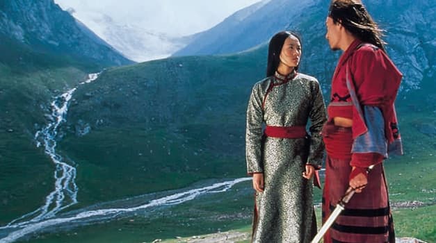 In between the martial arts scenes, the film has a genuine beauty and epic feel that is hard to resist.