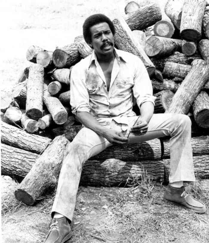 33 Popular and Handsome 1970s TV Actors - ReelRundown