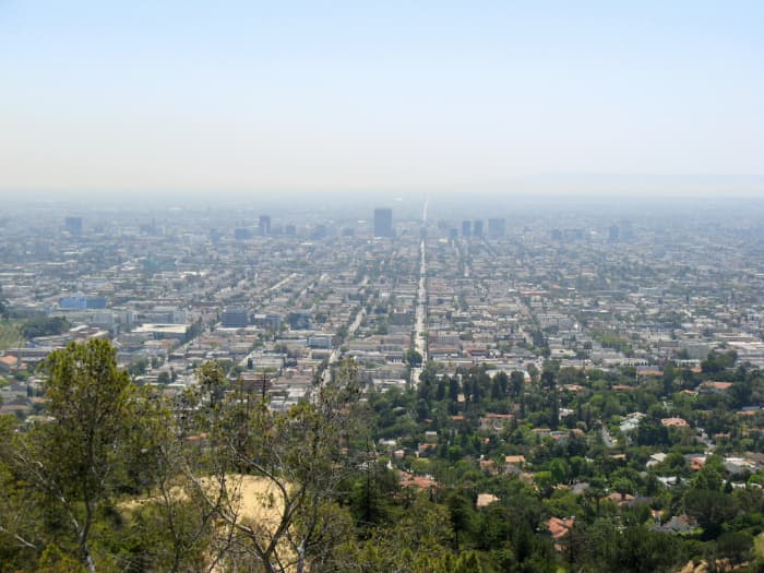 The Los Angeles skyline from Griffith Park.