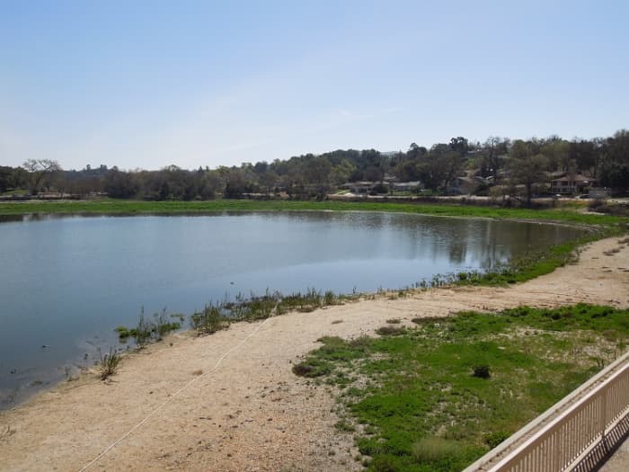This photo was taken on March 8, 2015 after some water has returned to the lake. All the grassy areas used to be underwater, so you can see the lake is still suffering, but at least birds are returning.