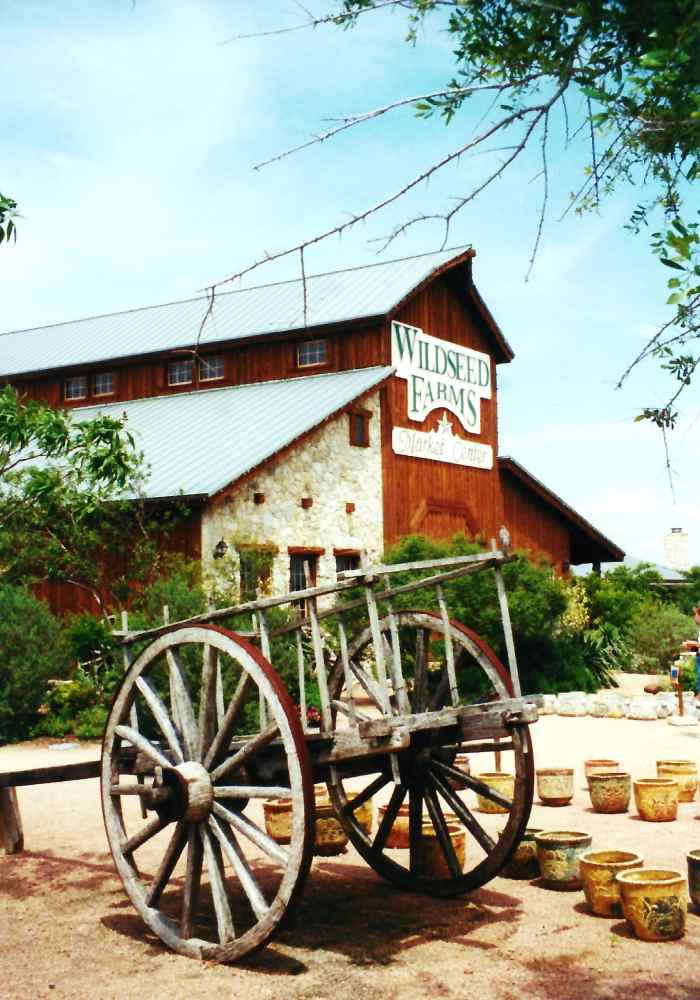 Wildseed Farms Fields of Wildflowers in Fredericksburg, Texas