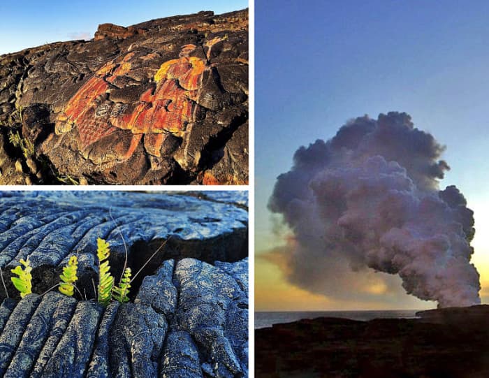 Clockwise from top left: Hawaiian mural along the trail; steam plume where lava enters the ocean miles away; vegetation growing out of a lava rock crack.