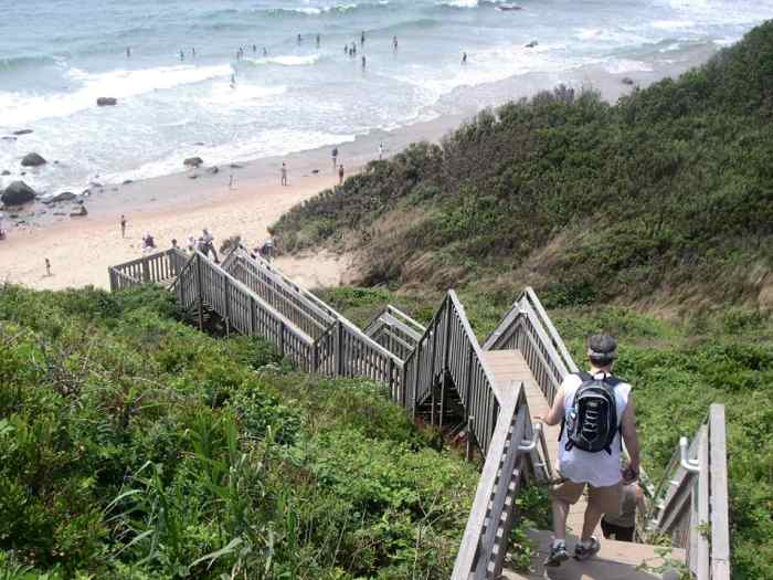 Steps at the Mohegan Bluffs
