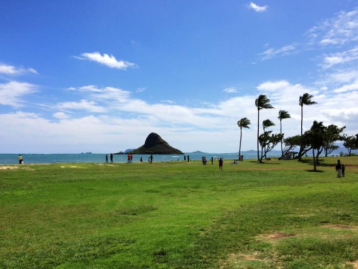 Kualoa Beach Park is a serene rest-stop with picnic tables and bathrooms. You will have a full view of Mokoli'i, also known as Chinaman's Hat, an offshore islet.