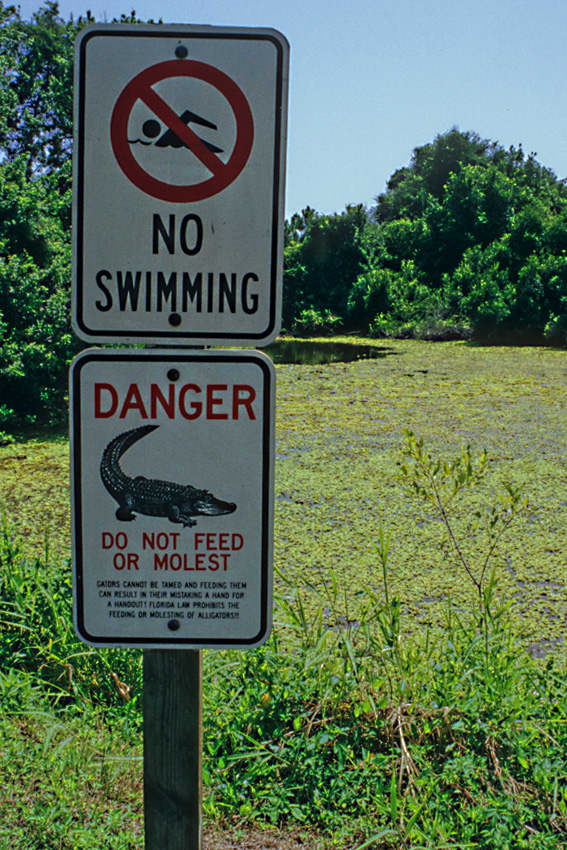 I couldn't resist this signpost by a lakeside in Boyd Hill. With the 'Do not Feed or Molest' warning in place, is the 'No Swimming' warning really necessary?