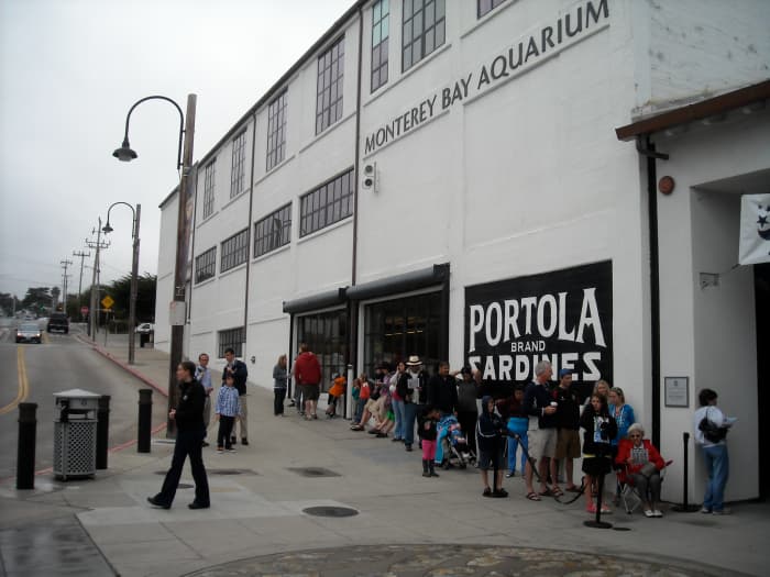 Lines outside the aquarium start forming before opening time, especially on summer weekends.