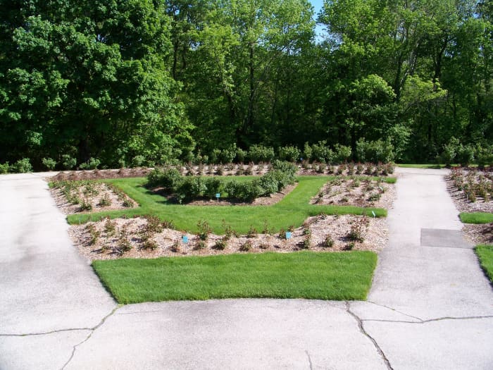 Columbus visitors will enjoy the view from atop a structure at Park of Roses. Many of the roses haven't started blooming in May.