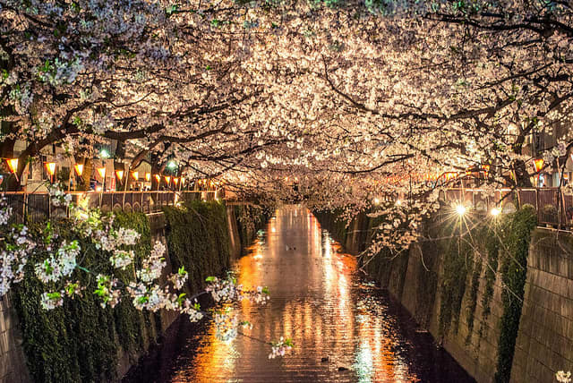 I'm not good enough with my camera to capture this light effect, so I present the wonderful view available in Japan Talk.