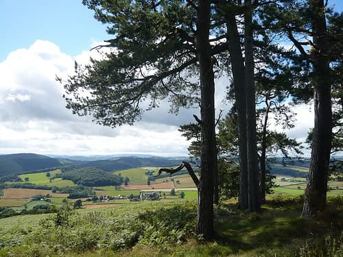 One of the most well known walks in Herefordshire is the Mortimer Trail which is a 30 mile footpath between Kington, in Herefordshire, to Ludlow, which is just over the border in Shropshire.