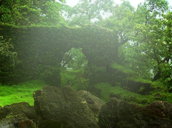 Karbala Bird Sanctuary is a beautiful place to explore and watch wildlife. In the center of the sanctuary are the ruins of Karnala fort.