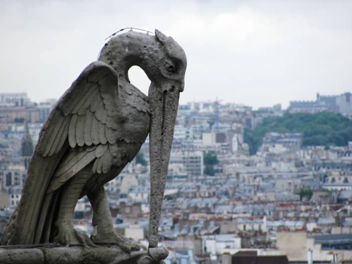 A heron gargoyle Protects his church—although the heron gargoyle did a good job at scaring away evil spirits, he needed the wire on his neck to keep him pigeon-proof. Let's hope he made it through the fire.