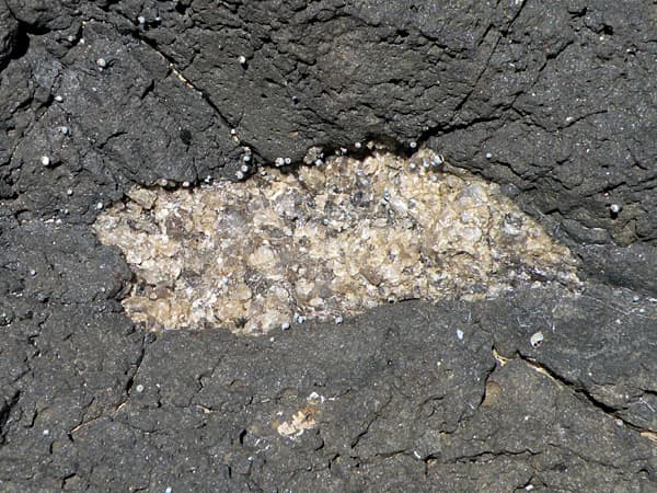 Dried calcite (calcium carbonate) and zeolite nodule in basalt - lots of fine and clear gemstone crystals inside.