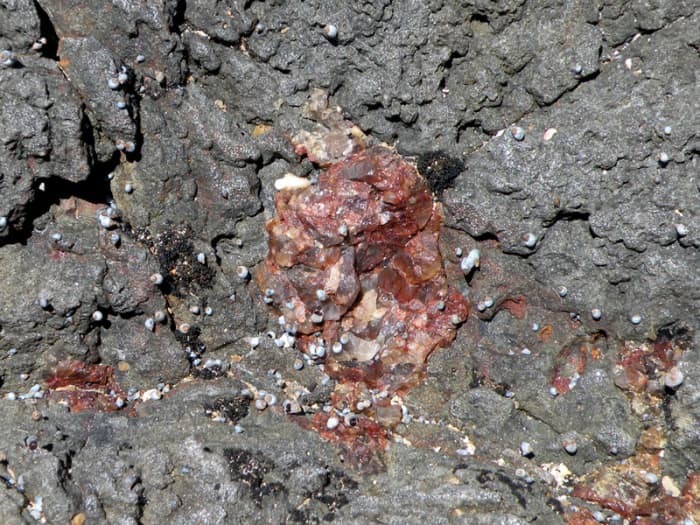 A mysterious find. I have no idea what this red crystal is and it doesn't look like anything mentioned in the historical lapidary texts.