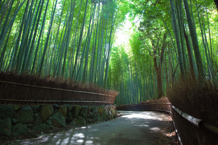 Arashiyama's "Sagano Bamboo Forest" is located near Togetsu Bridge and is an iconic symbol of Japan. It is worth preparing yourself for the fact that the bamboo forest is not very long, a point which underwhelms some people.