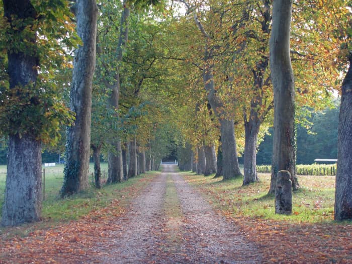 Bed & Breakfast Review: Chateau De Pintray, Loire Valley, France ...