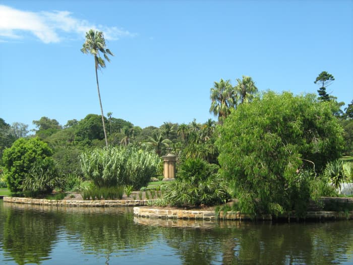 Lake at the Royal Botanic Gardens