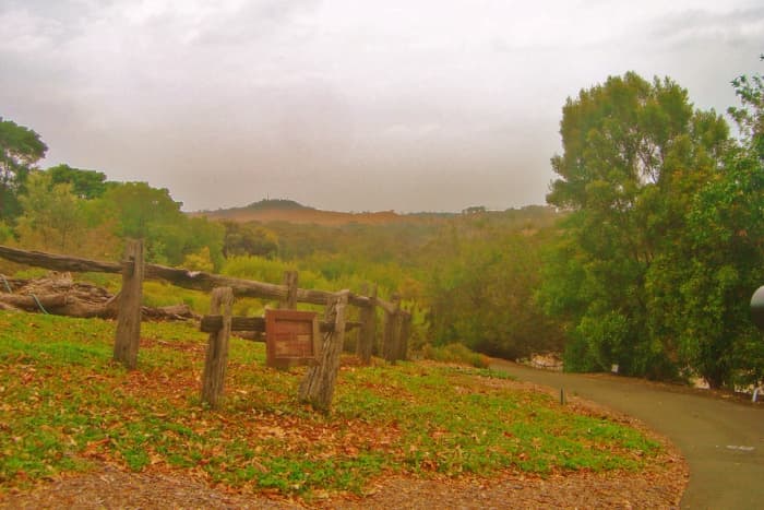 Mount Annan Botanic Gardens, Mount Annan