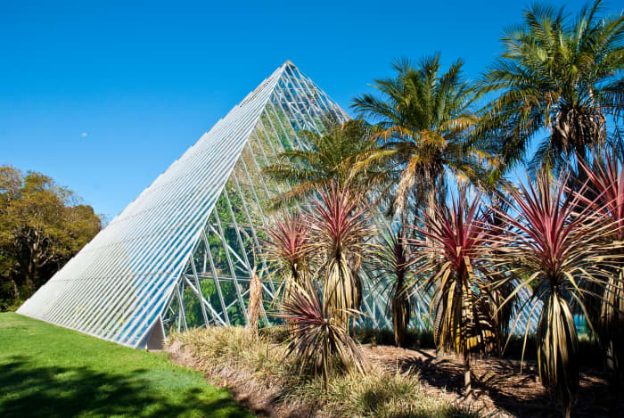 The glass house